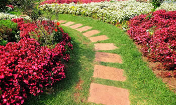 Landscaping in Staten Island STATE% Landscaping Services in  Staten Island STATE% Landscapers in  Staten Island STATE% 